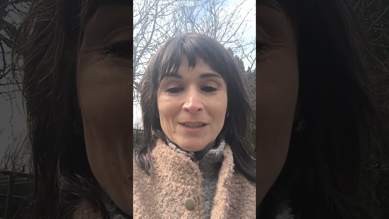 Martina Berková ve videoreferenci