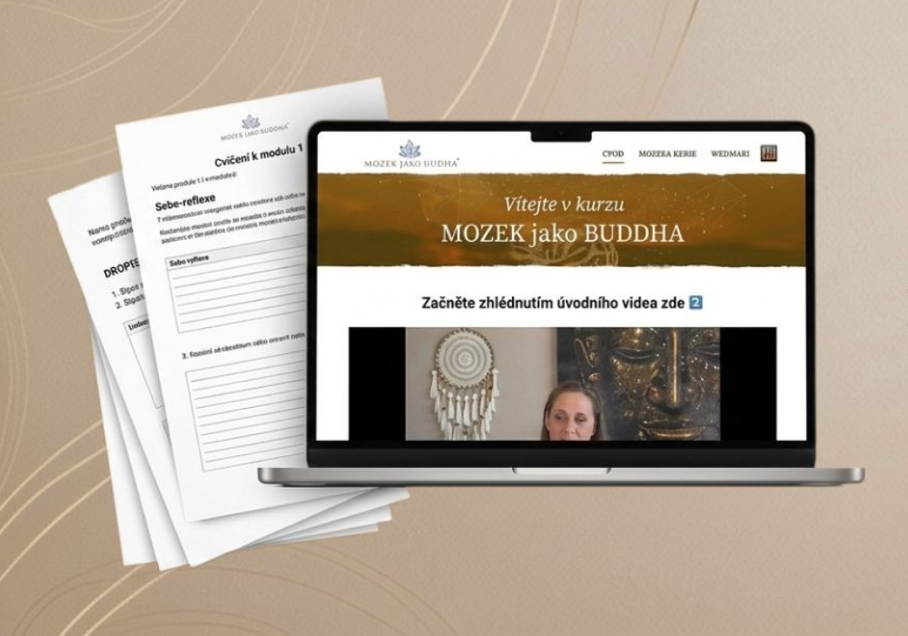 Notebook s kurzem Mozek jako Buddha a vytištěné pracovní listy