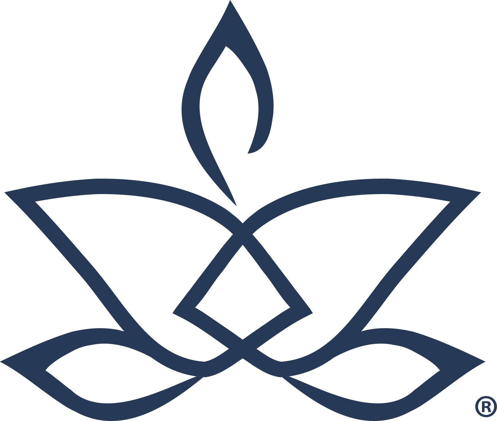 Symbol programu Mozek jako Buddha